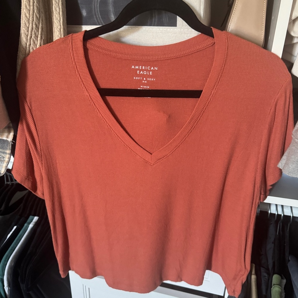 American Eagle Outfitters Women's Rust V-Neck Top